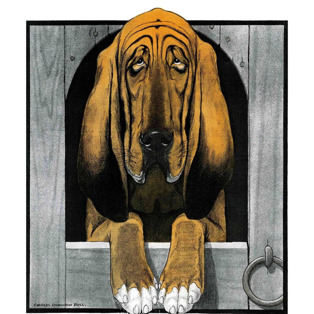 Marmont Hill - 'Journal Dog 2' Painting Print on Canvas - Multi-Color