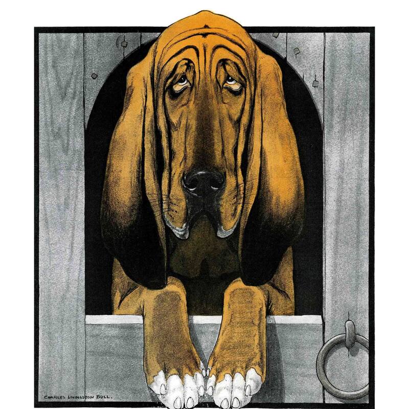 Marmont Hill - 'Journal Dog 2' Painting Print on Canvas - Multi-Color