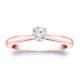 Option Rose
