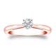 Option Rose