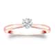 Option Rose