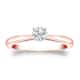 Option Rose