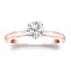 Option Rose
