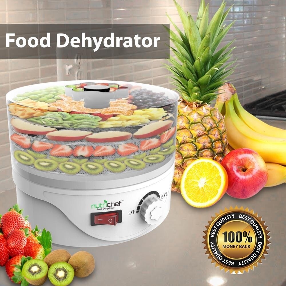 https://ak1.ostkcdn.com/images/products/11189510/Pyle-PKFD08-Electric-Countertop-Food-Dehydrator-Food-Preserver-024e8a1b-8376-4c76-9fac-5f28ad6e46ef.jpg