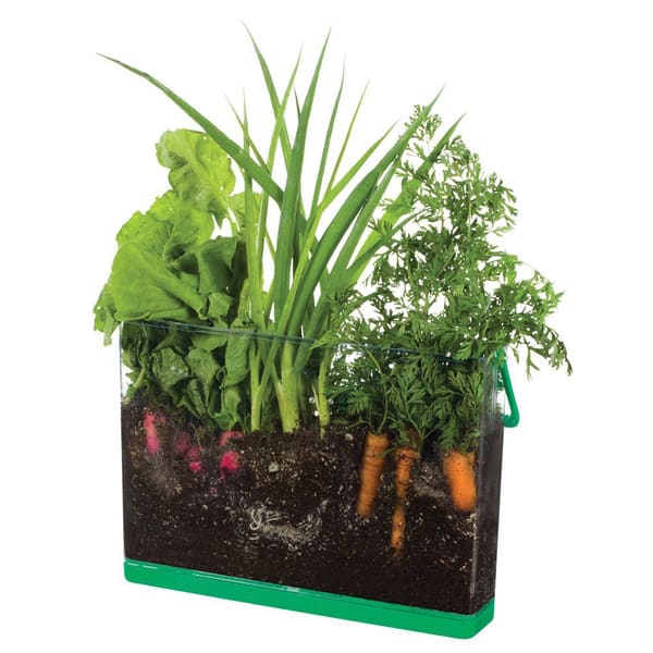 Toysmith Deluxe Root Viewer Science Kit - Bed Bath & Beyond - 11197233