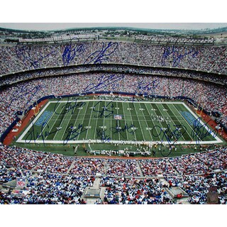 NY Giants Greats Multi Signed "Stadium Shot" 16x20 Photo (16 Sig)