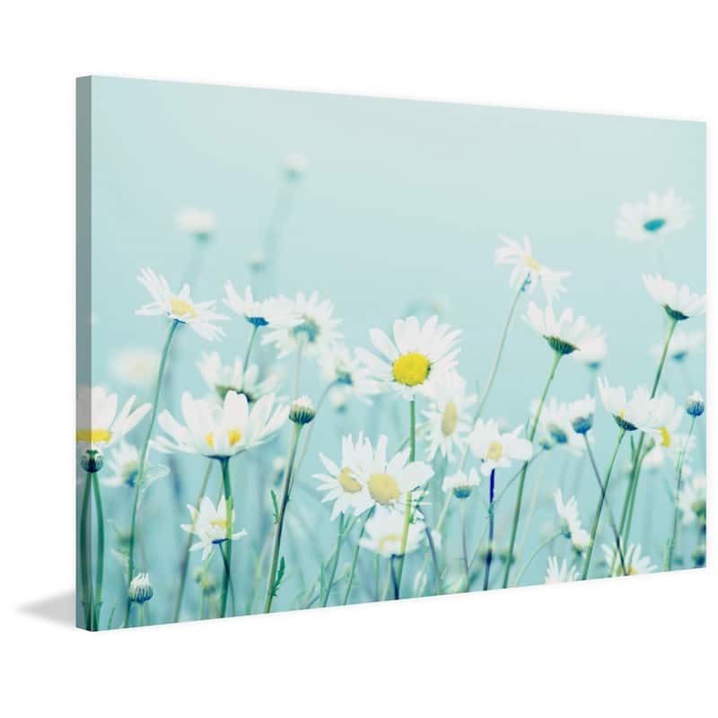 Marmont Hill - 'Dancing Daisies' by Robert Dickinson Painting Print on Canvas - Multi-Color