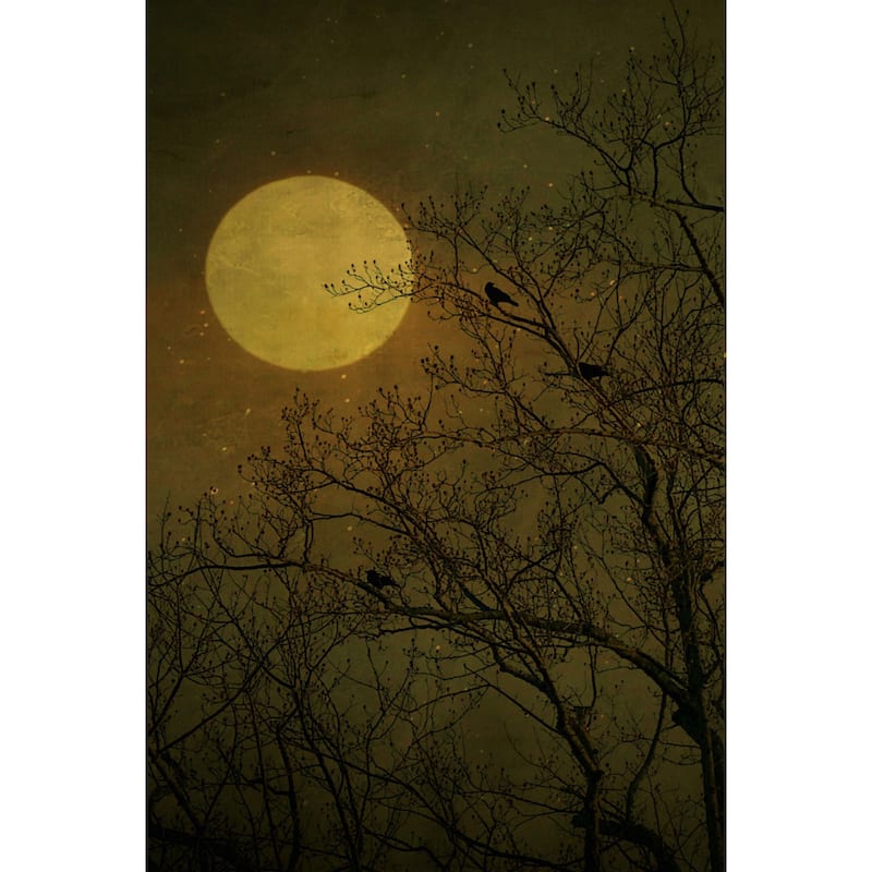 Marmont Hill - 'Dark Side' by Robert Dickinson Painting Print on Canvas - Multi-Color