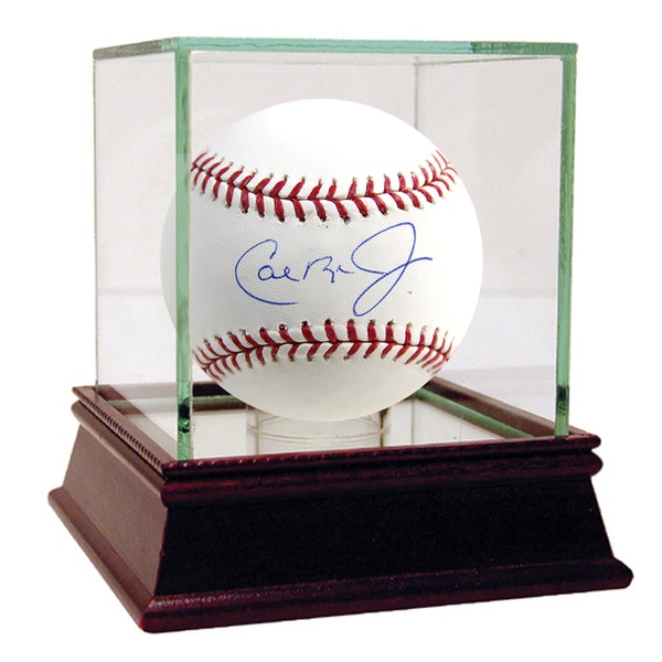 Cal Ripken Jr Signed MLB Baseball (MLB Auth)