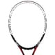 prince warrior pro 100