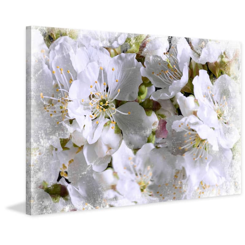 Marmont Hill - Handmade Apricot Blossoms Painting Print On Canvas - Bed 