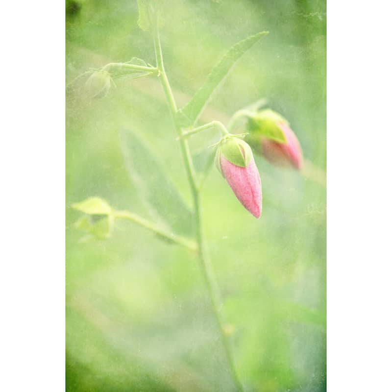 Marmont Hill - 'Keep Love In Your Heart' by Robert Dickinson Painting Print on Canvas - Multi-Color