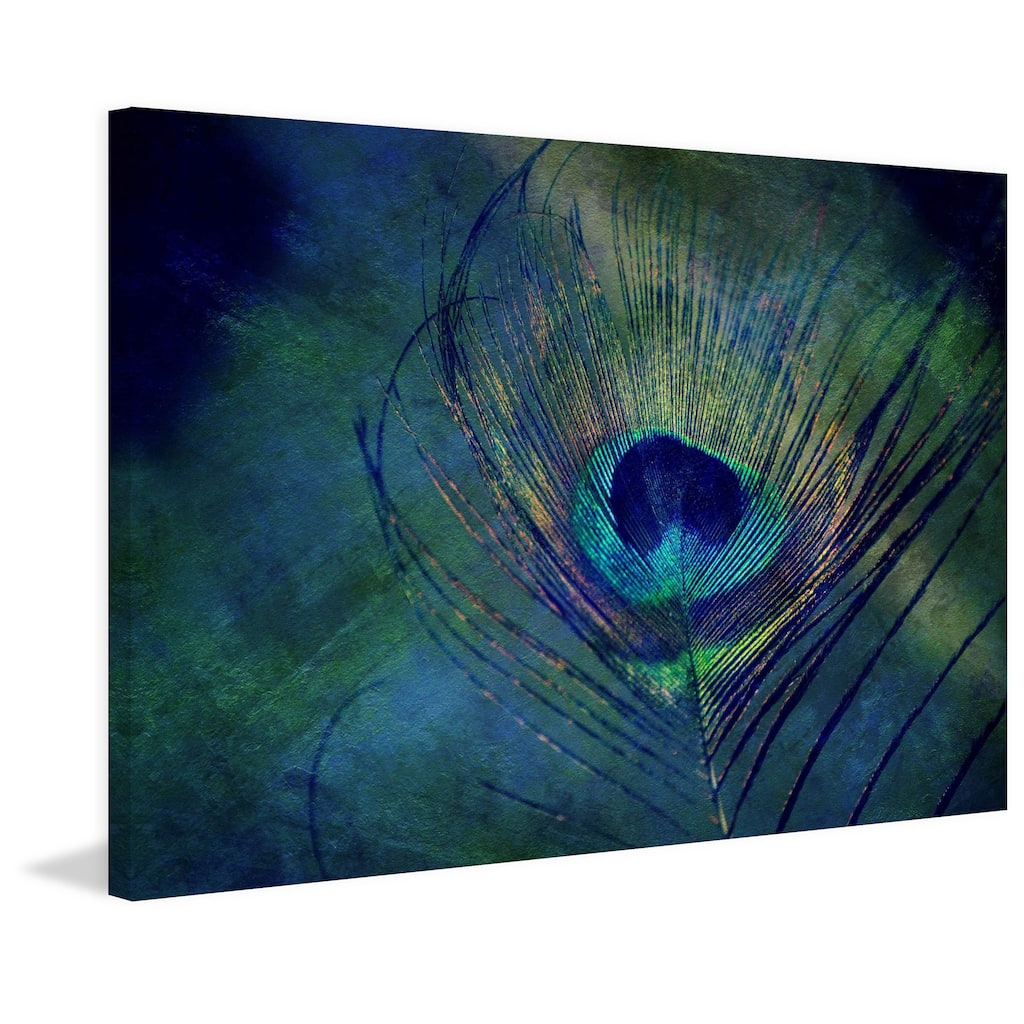 Marmont Hill - 'Plume Robin Dickinson' by Robert Dickinson Painting Print on Canvas - Multi-Color