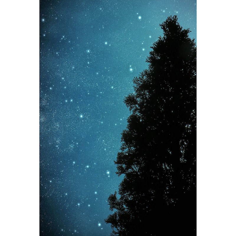 Marmont Hill - Star Light by Robert Dickinson Painting Print on Canvas - Multi-Color