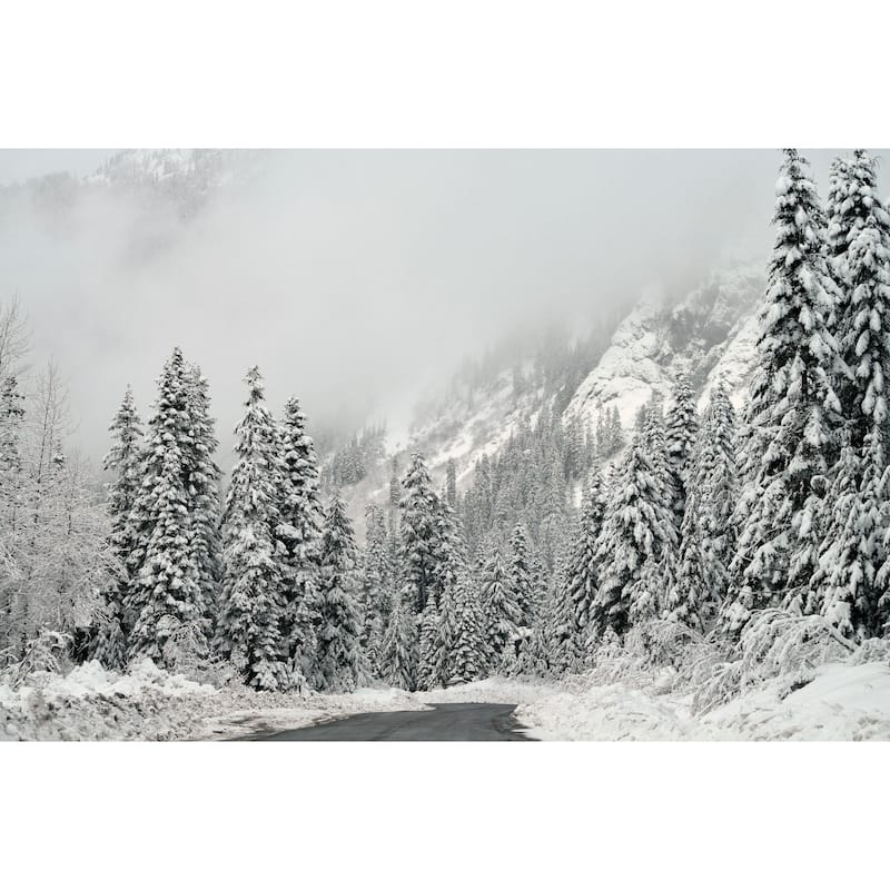 Marmont Hill - 'Winter Wonderland' by Robert Dickinson Painting Print on Canvas - Multi-Color