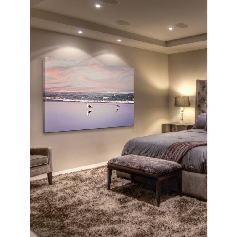 Marmont Hill - '2 Seagulls' by Sylvia Cook Painting Print on Canvas - Multi-Color