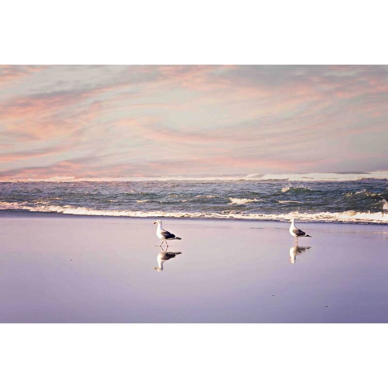 Marmont Hill - '2 Seagulls' by Sylvia Cook Painting Print on Canvas - Multi-Color