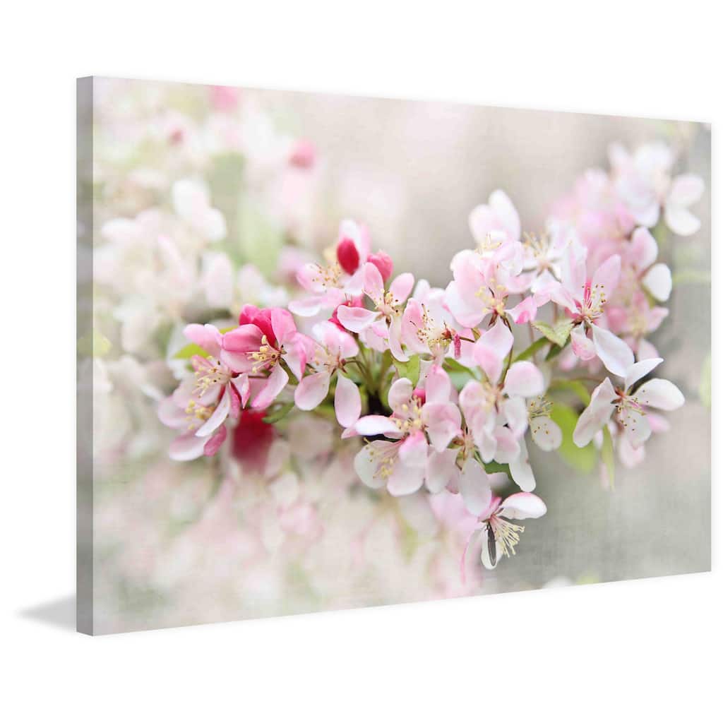 Marmont Hill - 'April Flowers' by Sylvia Cook Painting Print on Canvas - Multi-Color