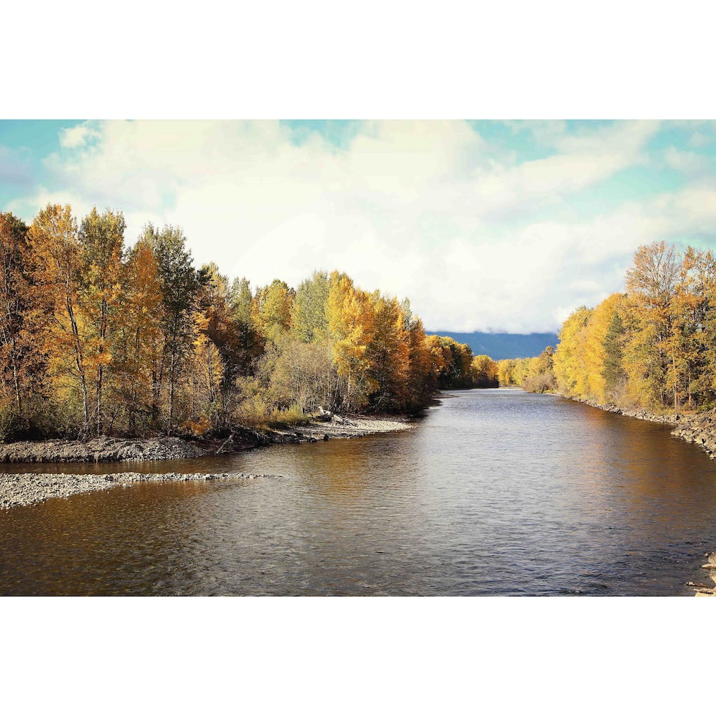 Marmont Hill - 'Autumn On The River' by Sylvia Cook Painting Print on Canvas - Multi-Color