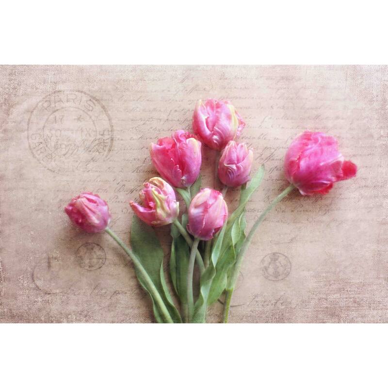 Marmont Hill - 'Pink Tulips' by Sylvia Cook Painting Print on Canvas - Multi-Color