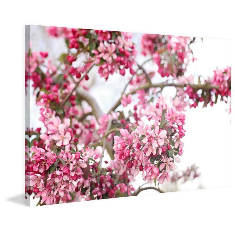 Marmont Hill - 'Spring In Pink' by Sylvia Cook Painting Print on Canvas - Multi-Color