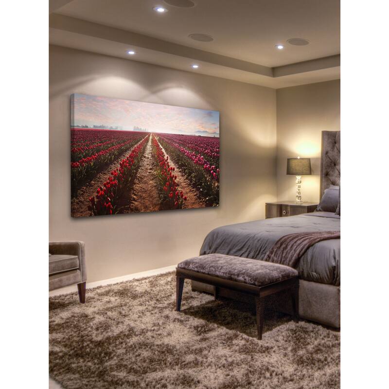 Marmont Hill - Tulips Forever by Sylvia Cook Painting Print on Canvas - Multi-Color