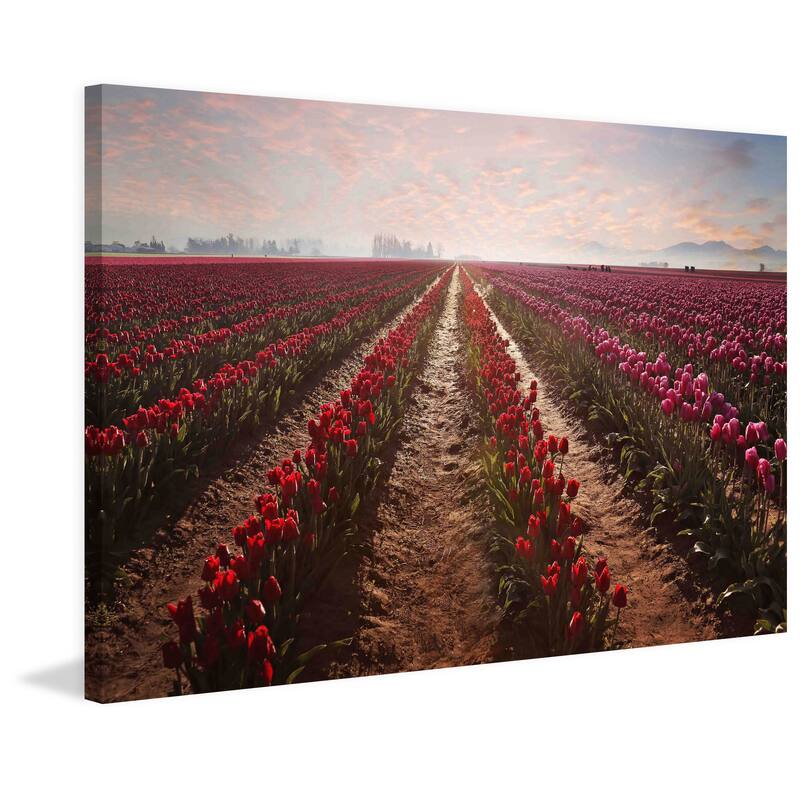 Marmont Hill - Tulips Forever by Sylvia Cook Painting Print on Canvas - Multi-Color