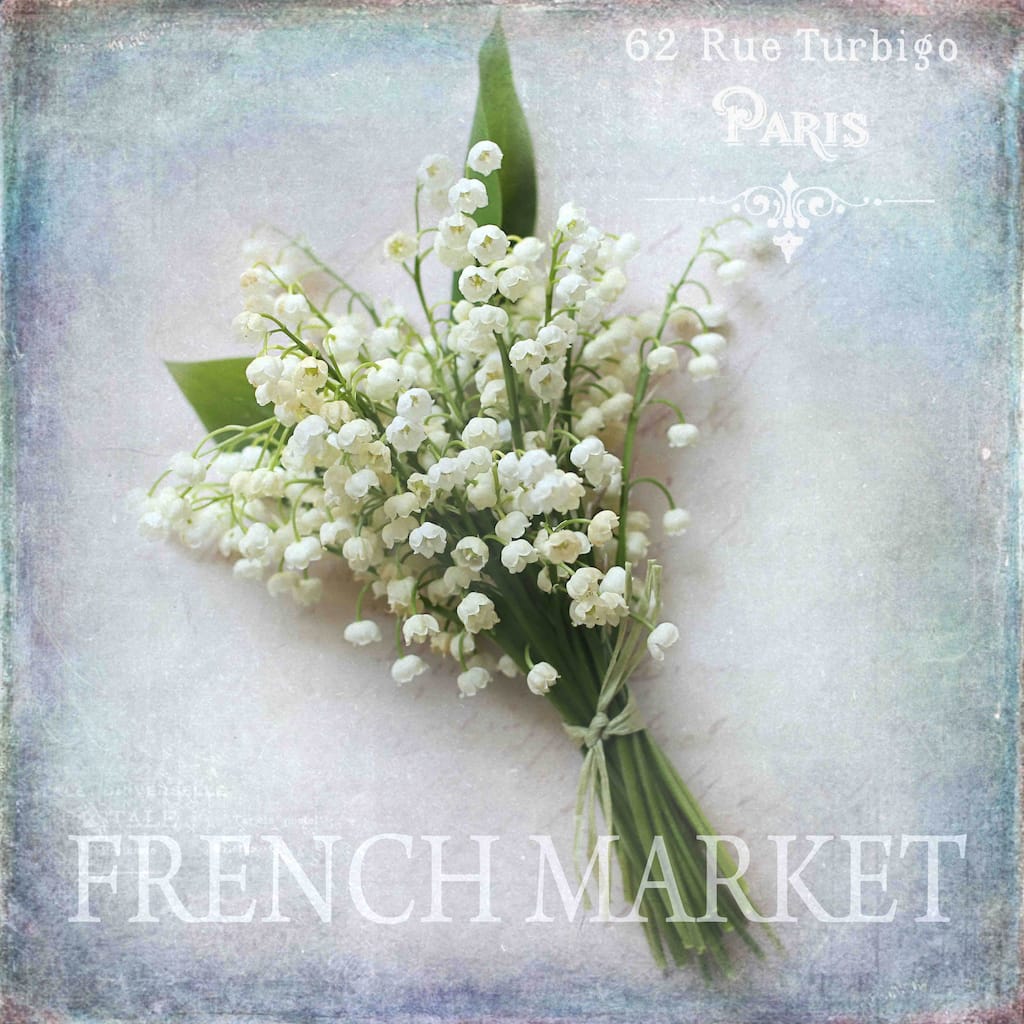 Marmont Hill - 'French Market' by Sylvia Cook Painting Print on Canvas - Multi-Color