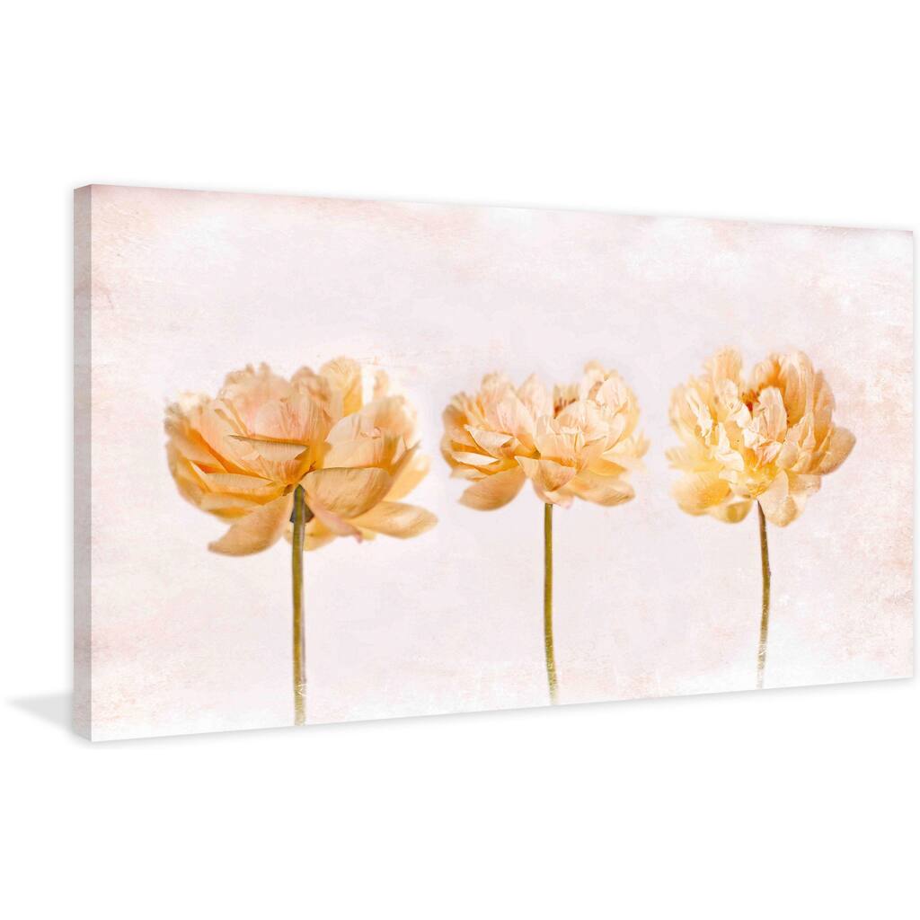 Marmont Hill - 'Penoies' by Aryai Painting Print on Canvas - Multi-Color