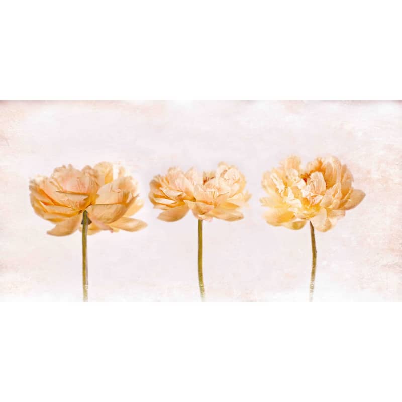 Marmont Hill - 'Penoies' by Aryai Painting Print on Canvas - Multi-Color