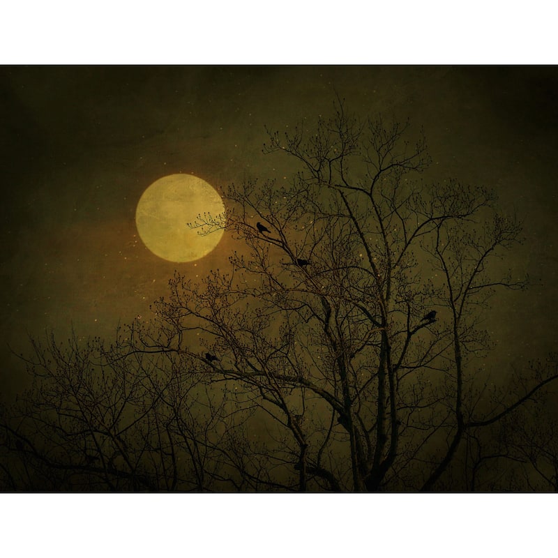 Marmont Hill - 'Starry Night' by Robert Dickinson Painting Print on Canvas - Multi-Color