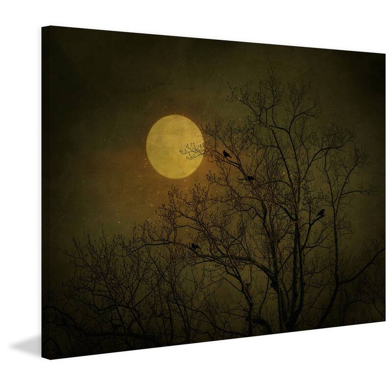 Marmont Hill - 'Starry Night' by Robert Dickinson Painting Print on Canvas - Multi-Color