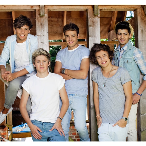 Shop One Direction Barn Vinyl Wall Mural - Free Shipping On Orders Over ...