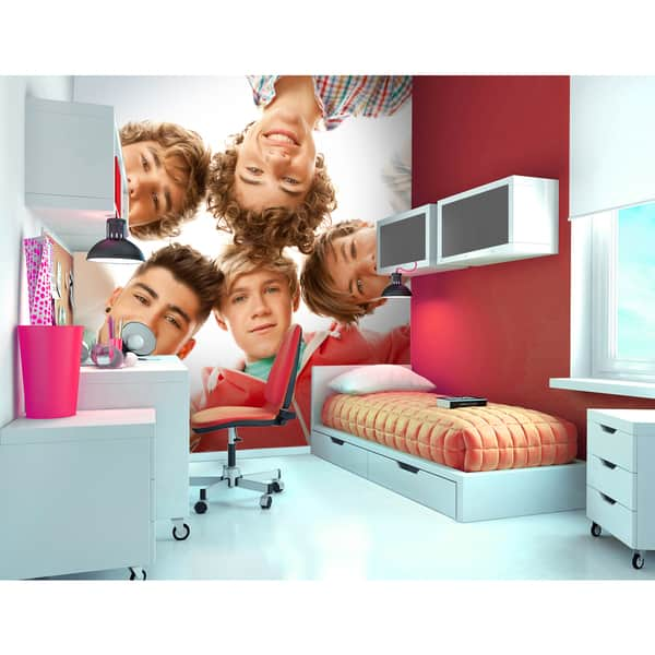 One Direction 10 Inch Collectible Photo Pillow - Harry 