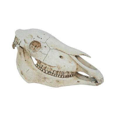 Aurelle Home Skull Sculpture - 14.2 x 7 x 7.5