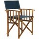 Safavieh Outdoor Living Laguna Blue Director Chair (Set of 2) - Thumbnail 5
