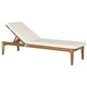 Safavieh Outdoor Living Azusa Brown/ Beige Sunlounger - 23.6" x 74.4" x 15.4" - Thumbnail 1