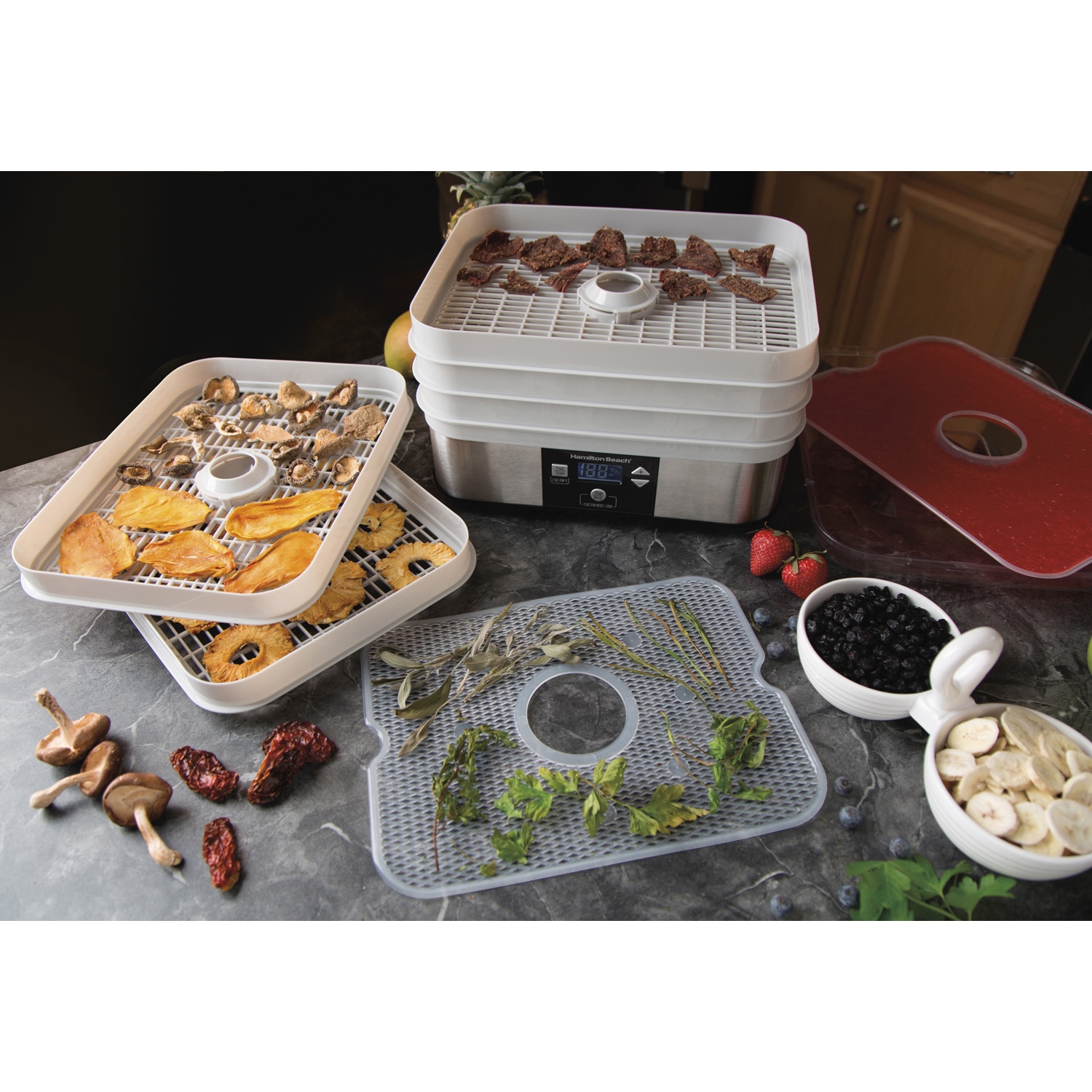 Hamilton Beach Food Dehydrator - White - Bed Bath & Beyond - 11372601