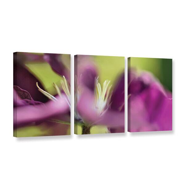 18 by 36 ArtWall Cora Nieles Clematis Panorama Artmetalz Aluminum Print 18 by 36 ArtWall Cora Nieles Clematis Panorama Artmetalz Aluminum Print