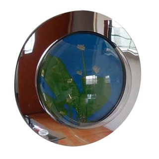 wall mounted fish tank