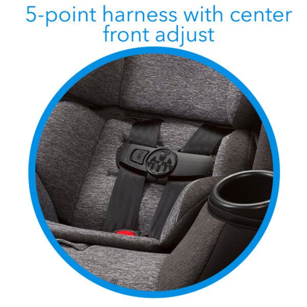 cosco comfy convertible car seat
