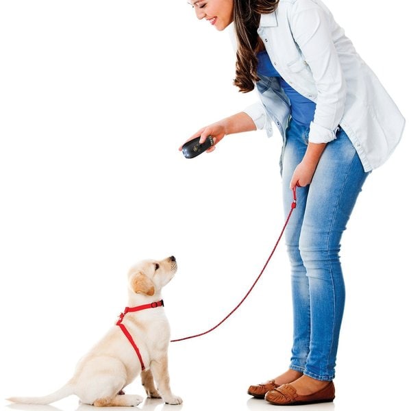 Pet Command Ultimate Dog Training System, Barking Control ...