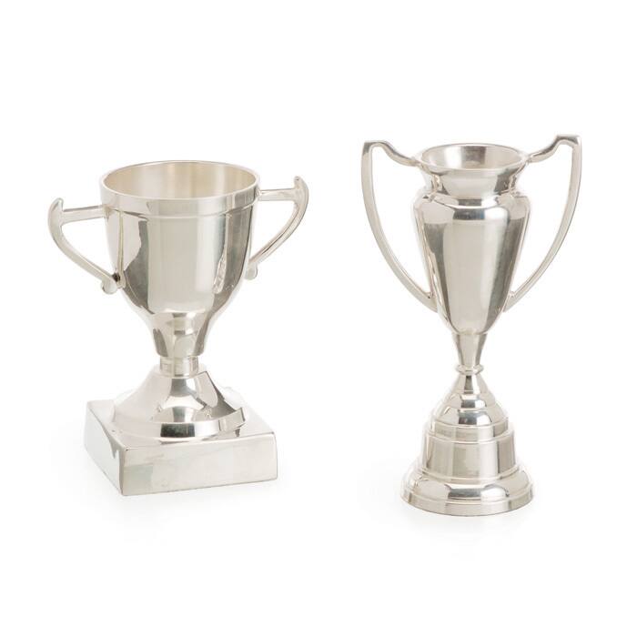 Polished Mini 2-piece Trophy Set