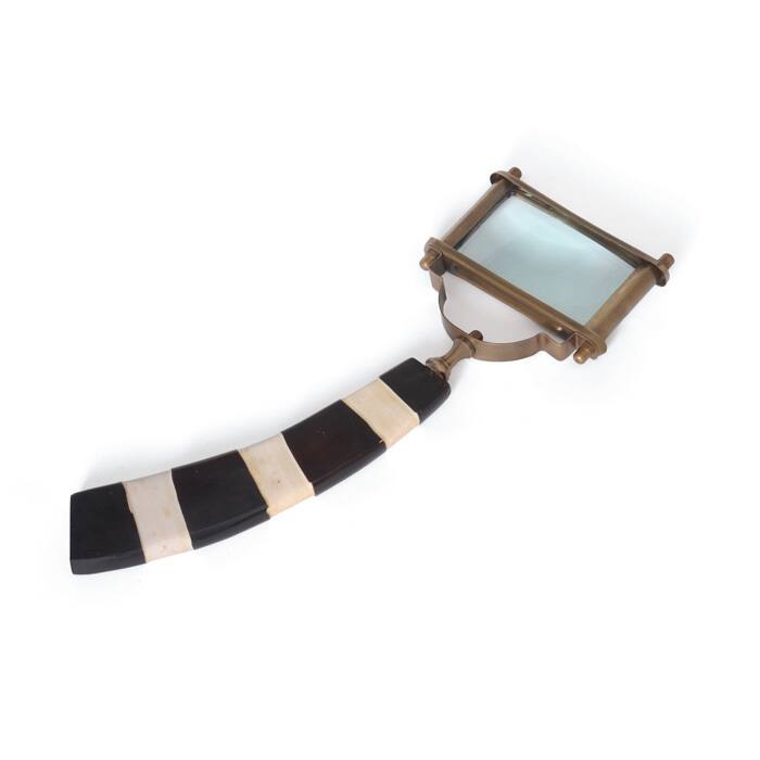 Zebra Magnifier