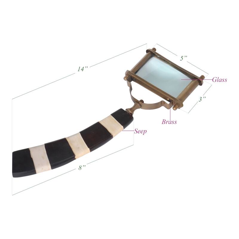Zebra Magnifier
