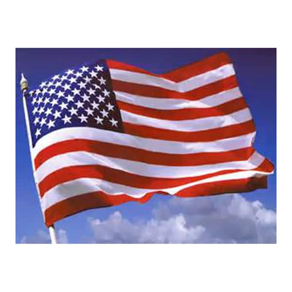 Ezpole 3' x 5' Home Outdoor Garden USA Nylon Flag | Overstock.com ...