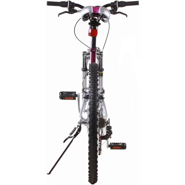 titan punisher mountain bike