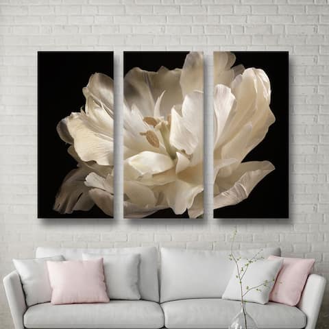 ArtWall Cora Niele's White Tulip 3-piece Gallery Wrapped Canvas Set