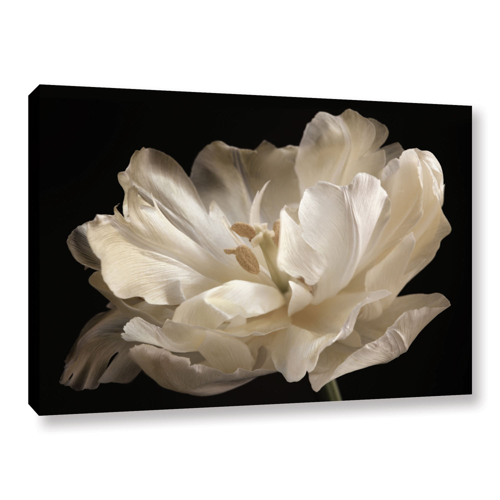 ArtWall Cora Nieles Tulipa Double I Art Appeelz Removable Graphic Wall Art Black and White 24 by 24 