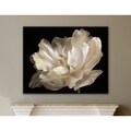 ArtWall Cora Niele's White Tulip Gallery Wrapped Canvas